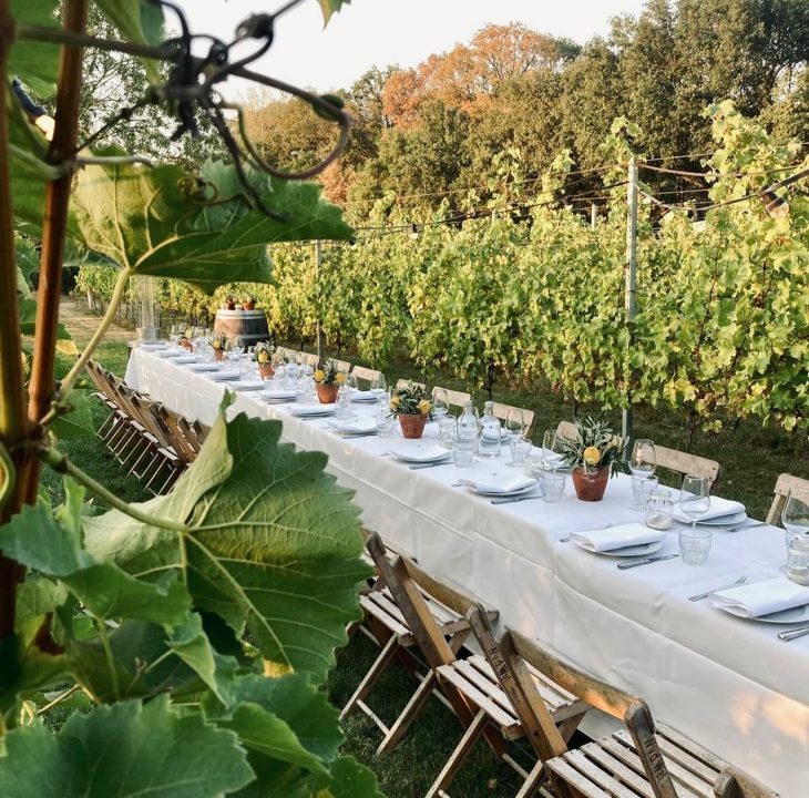 433745350_18011589323466522_3247408168477385303_n