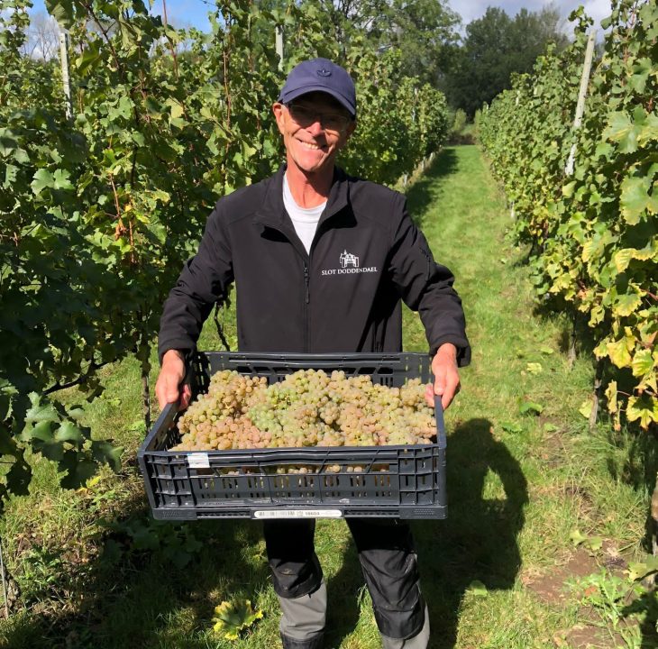 Vrijwilliger wijngaard