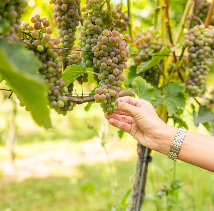 neerbosmarketing-houseofframes-20250824-jean-slotdoddendael-005